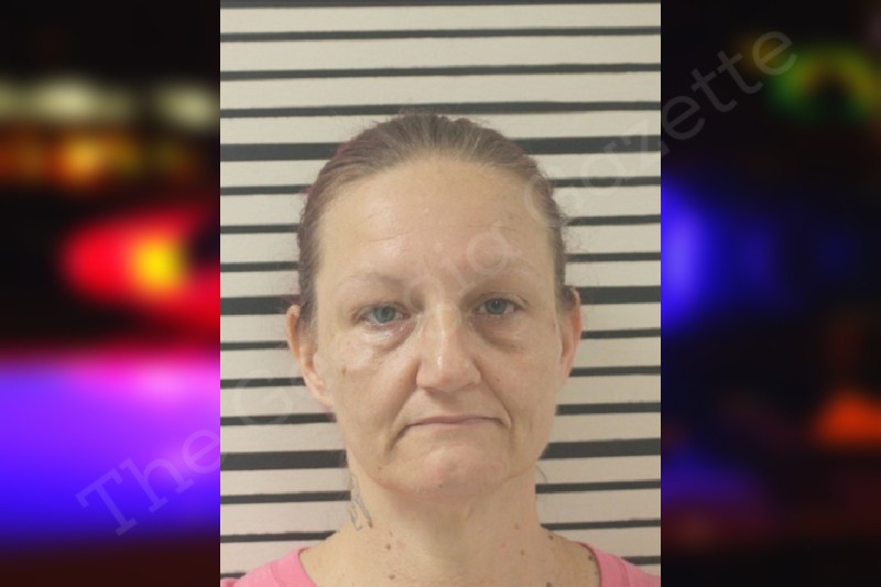 sara-williams-toombs-county-jail-bookings