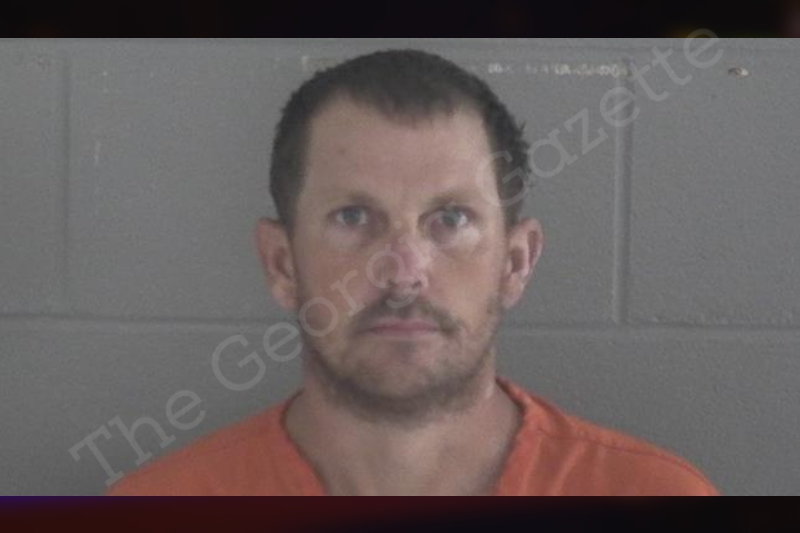 Jeffrey Wilson | Brantley County Jail Bookings