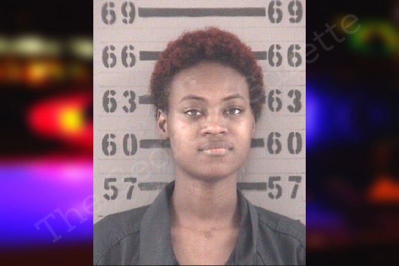 Amber Wright Dougherty County Jail Bookings