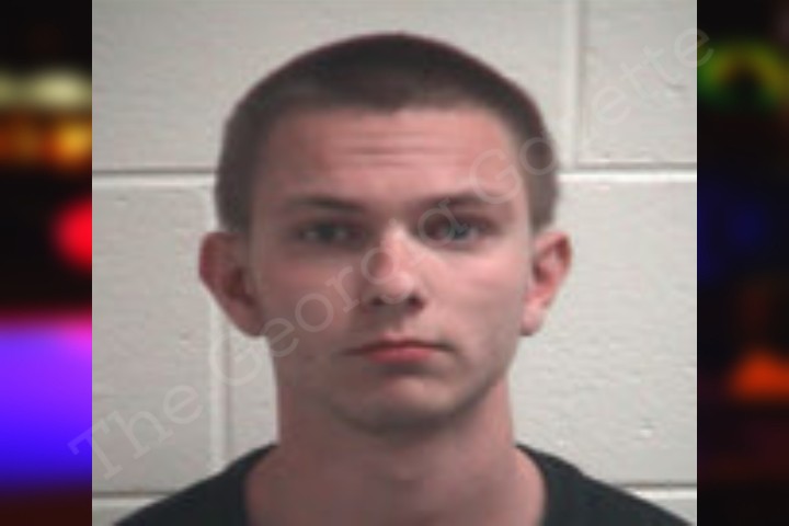 Sam Adams — Henry County Jail Bookings