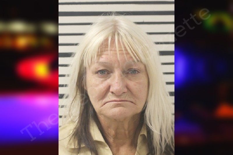 Lavada Booth Toombs County Jail Bookings