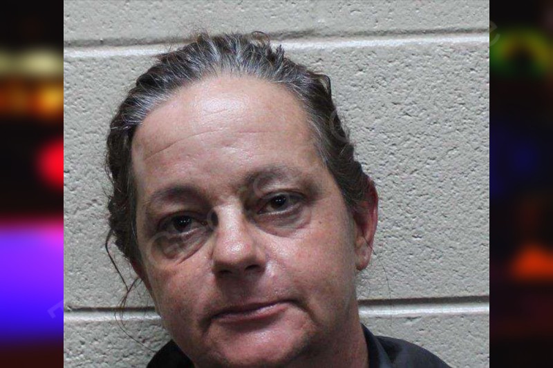 Elizabeth Brown — Haralson County Jail Bookings