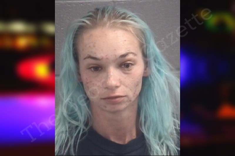 Kayla Bridges — Spalding County Jail Bookings