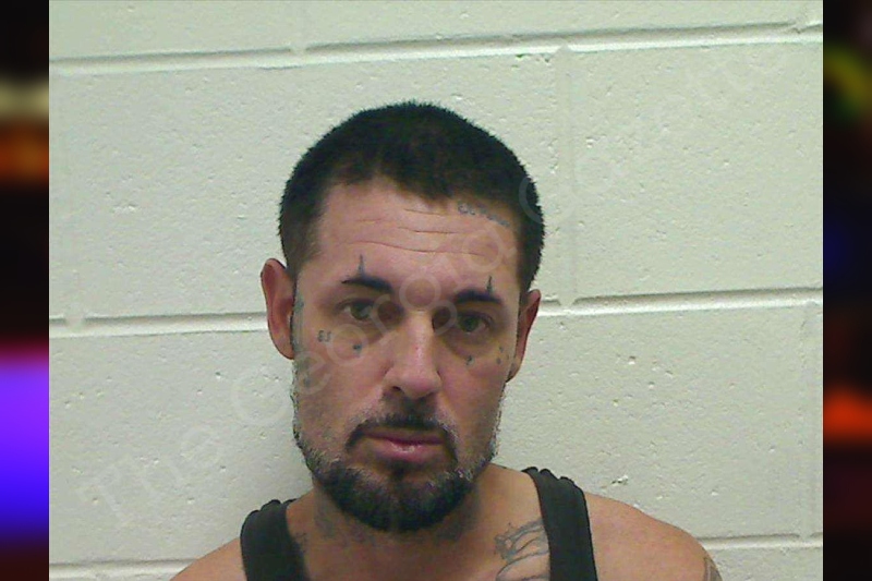 Marshall Bryant Bulloch County Jail Bookings