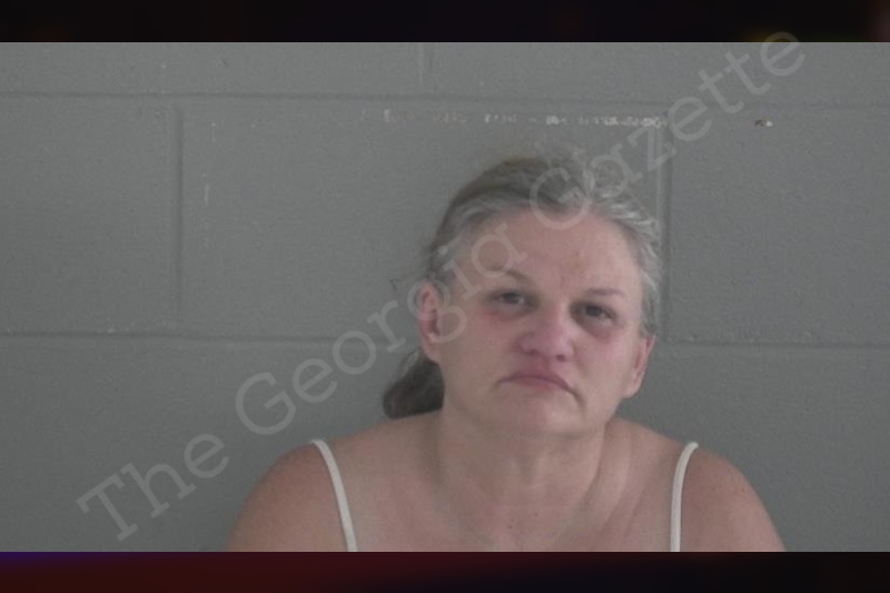 Vinnie Crews Brantley County Jail Bookings