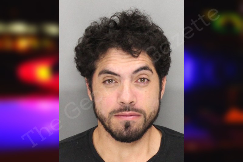 Santos Dos — Cobb County Jail Bookings