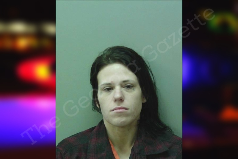 Possession Of A Schedule I Controlled Substance F