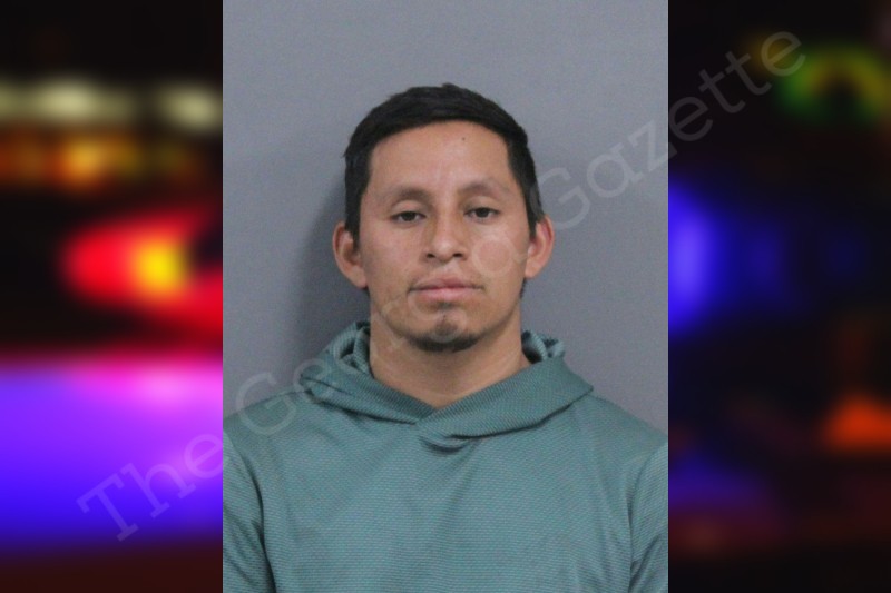 FERNANDO GONZALEZ JR visual data 7