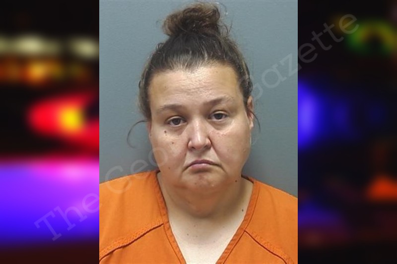 Amanda Leeds Cherokee County Jail Bookings