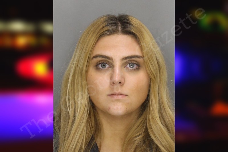 Lindsey McIntire Cobb County Jail Bookings