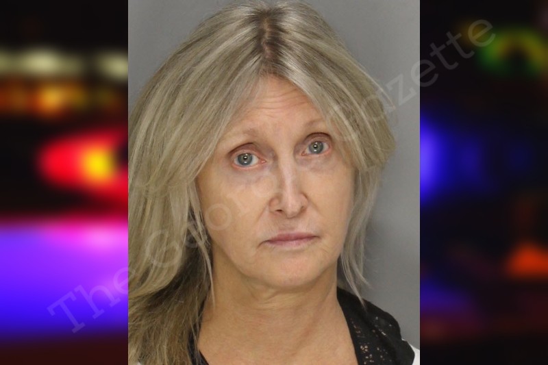 Kimberly Moser — Cobb County Jail Bookings