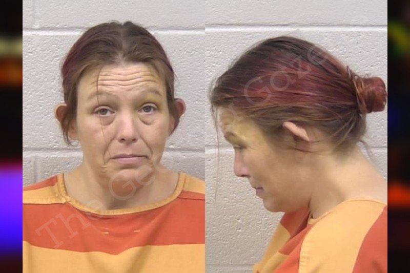 April Manning Paulding County Jail Bookings