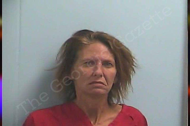 Melissa Seabolt | Dawson County Jail Bookings