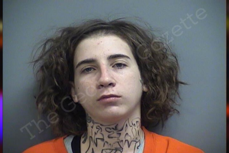 Avrie Shadley Effingham County Jail Bookings
