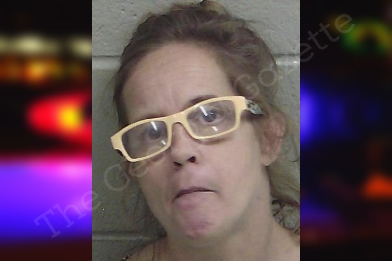 Mary Wells | Wayne County Jail Bookings