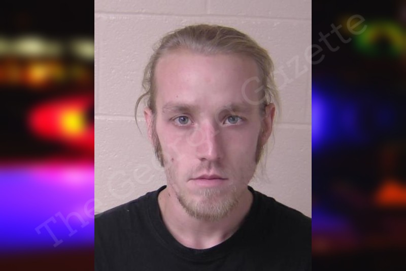 Kane White Walker County Jail Bookings