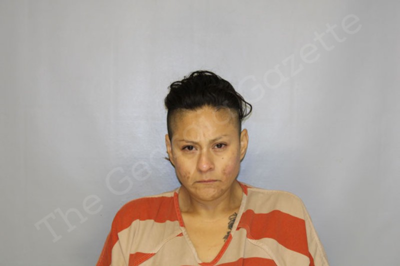 Gina Alvarez - Hall County Jail Bookings