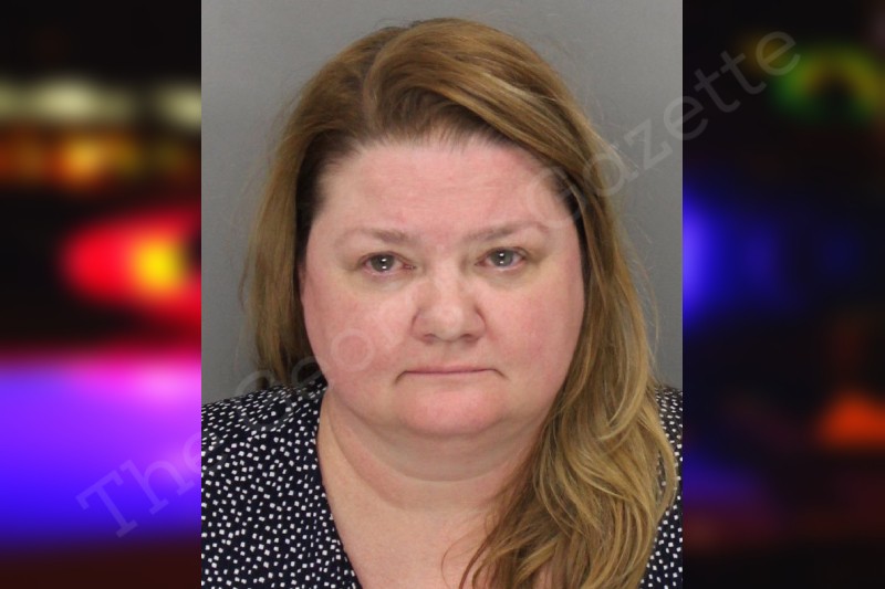 Kathleen Briner Cobb County Jail Bookings