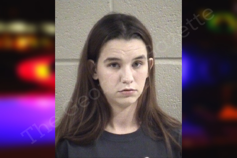 Hailey burnham whitfield county jail bookings