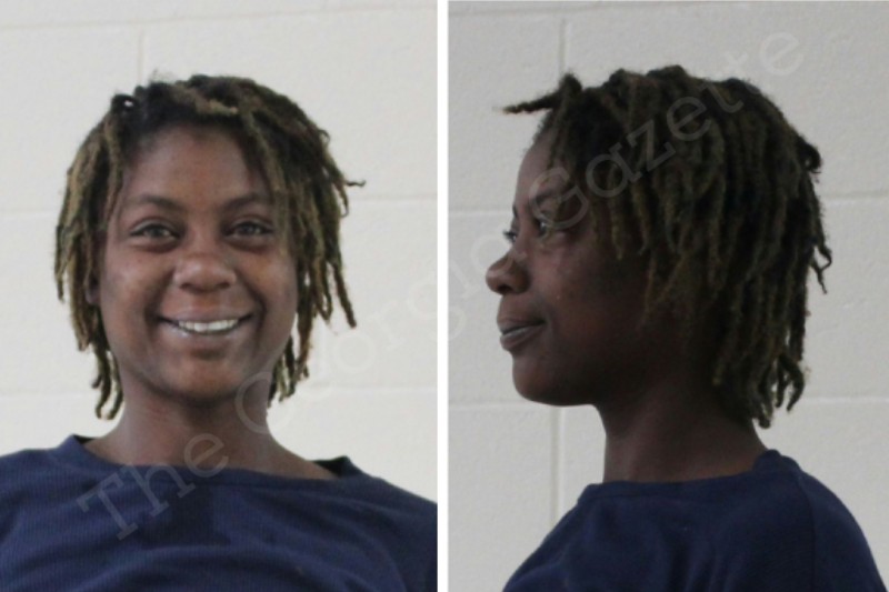 Hattie Chester Houston County Jail Bookings