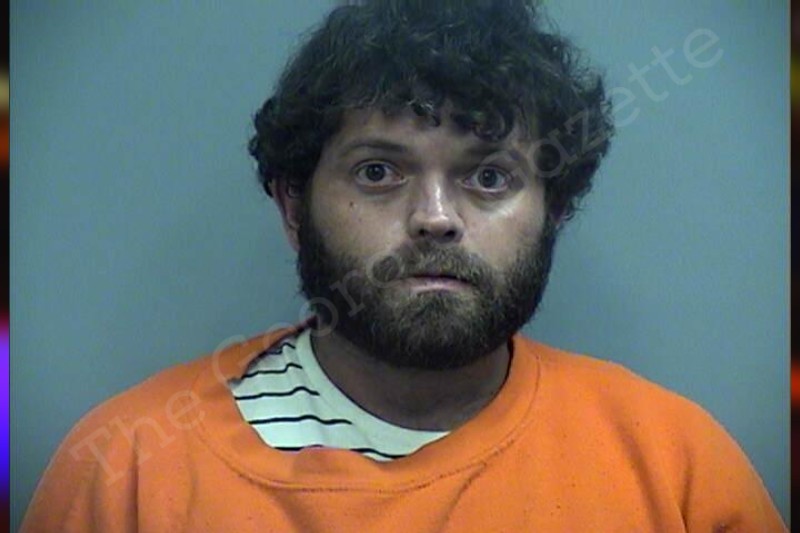 Phillip Dickerson Effingham County Jail Bookings