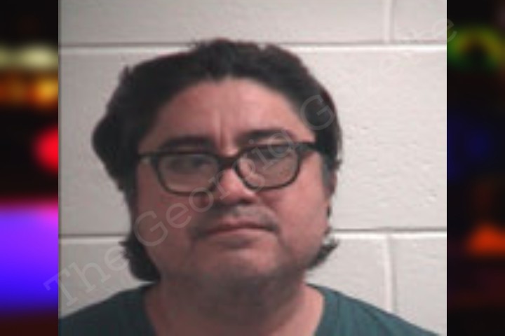 Carlos Fajardo — Henry County Jail Bookings