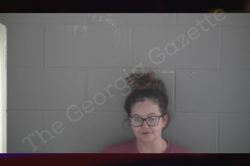Sarah Havle Brantley County Jail Bookings