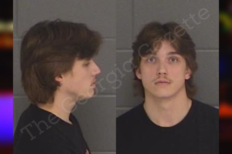 Brandon Henson | Barrow County Jail Bookings