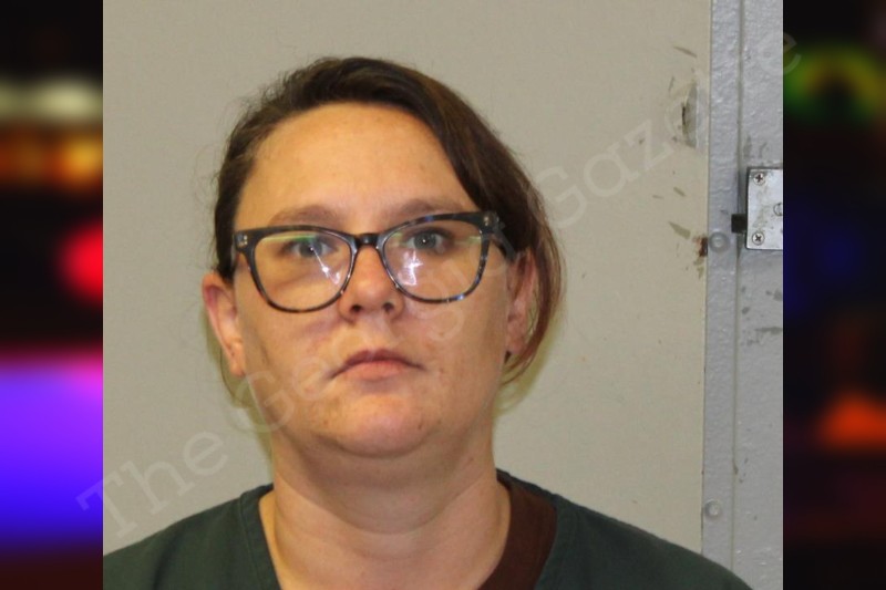 Allison Hamilton McIntosh County Jail Bookings