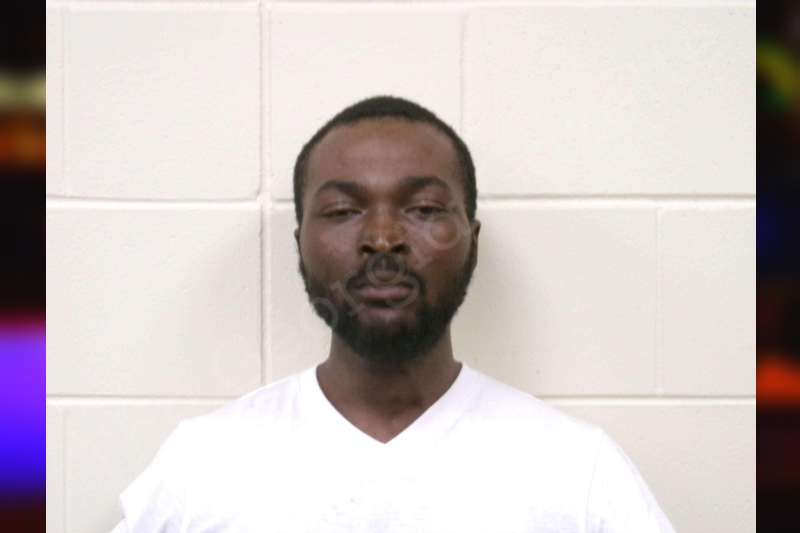 Steven Jenkins Bulloch County Jail Bookings