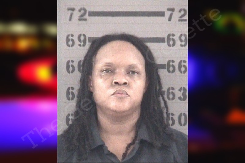 Ashley Johnson Dougherty County Jail Bookings