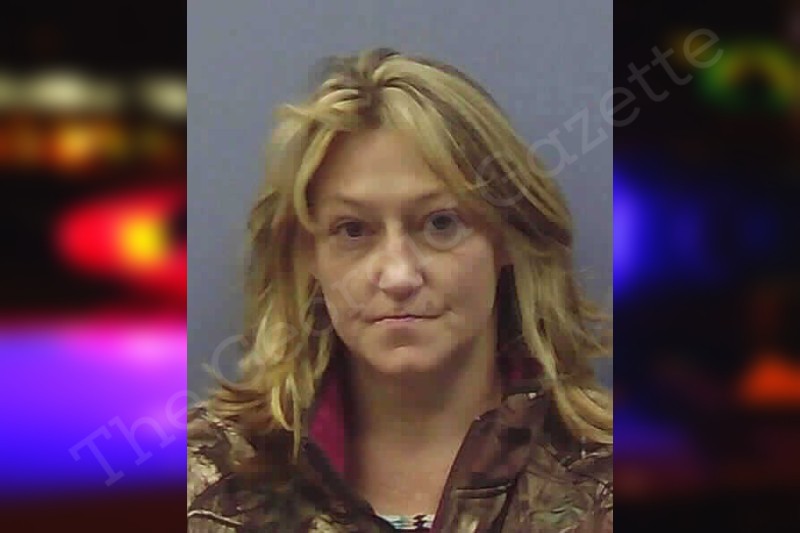 Linda Laney Chattooga County Jail Bookings