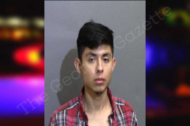 LunaGomez — Glynn County Jail Bookings