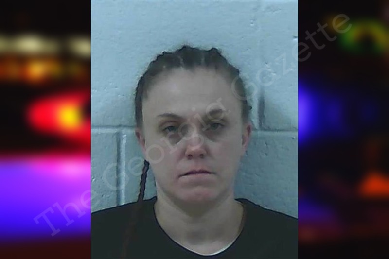 Ashley Mitchell Jackson County Jail Bookings