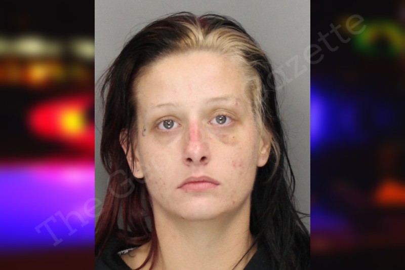 Sara Modglin | Cobb County Jail Bookings