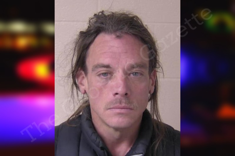 James McDaniel — Walker County Jail Bookings