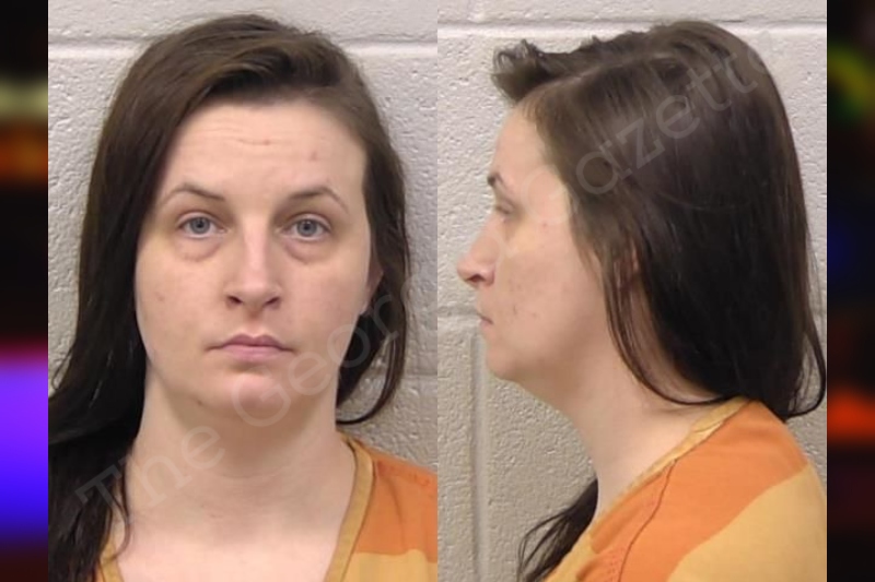 Jennifer McDowell | Paulding County Jail Bookings