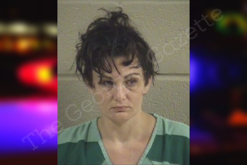 Laney Neary — Whitfield County Jail Bookings