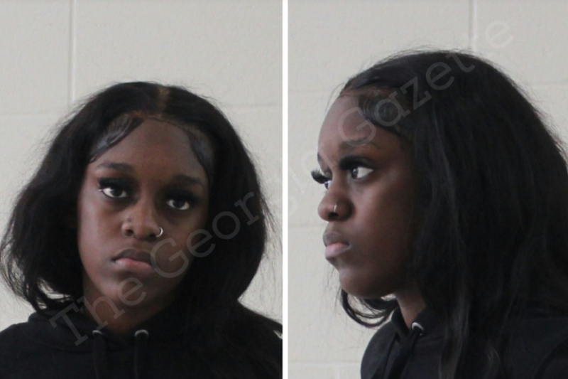 Kaylin Porter Houston County Jail Bookings