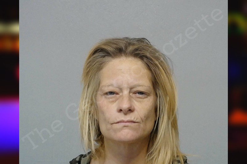 Stephanie Allison | Bibb County Jail Bookings