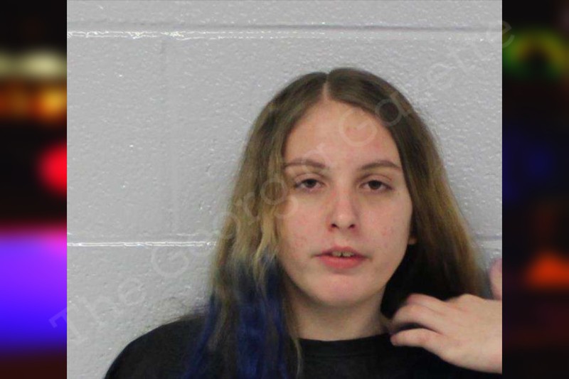 Christina West — Carroll County Jail Bookings