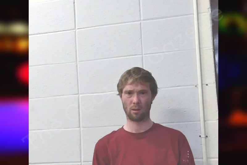 Screven County Jail Bookings Page 33 The Gazette