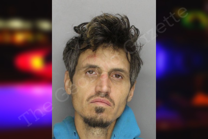 Matthew Bailey — Cobb County Jail Bookings