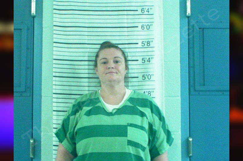 Tabitha Bollinger - Stephens County Jail Bookings