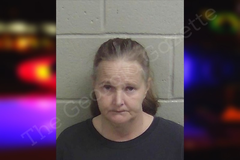 Shirley Brinkley Wayne County Jail Bookings