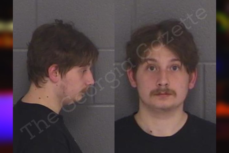 Tyler Griffin Barrow County Jail Bookings