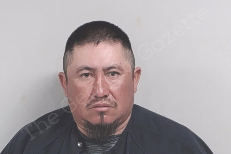 Ramon Hernandez | Lowndes County Jail Bookings