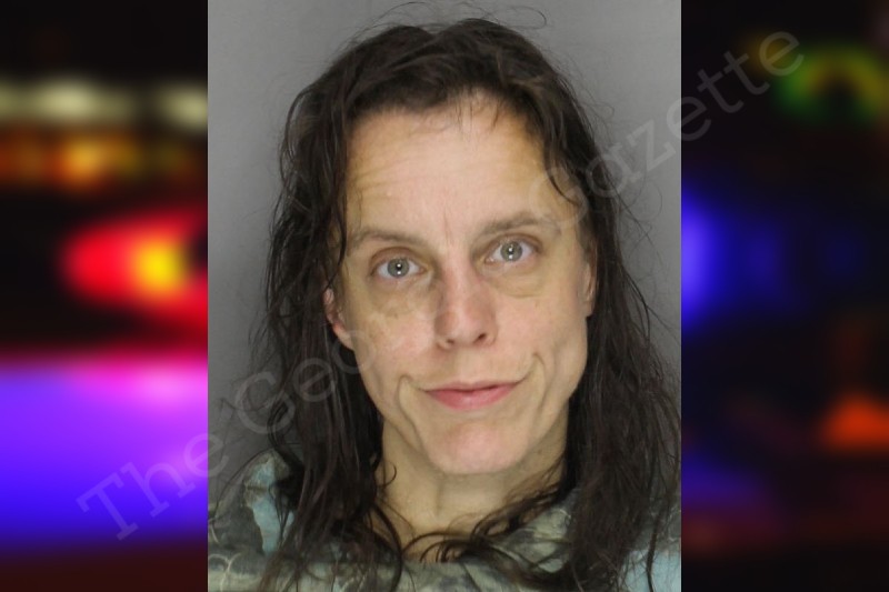 Mary Hollis Cobb County Jail Bookings Mary hollis cobb county jail bookings