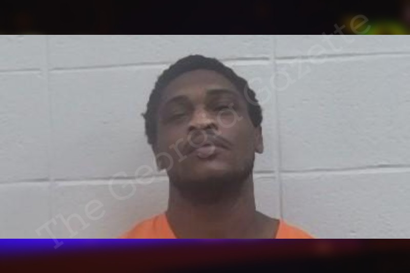 Screven County Jail Bookings Page 35 The Gazette