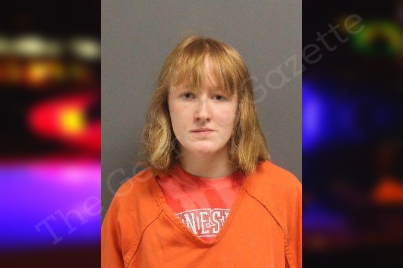 Allison Killeen Lumpkin County